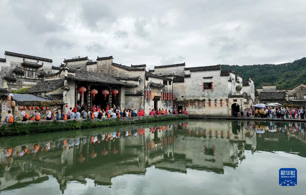 博狗比分